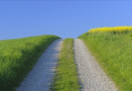 微利時代的跨境電商，壓縮成本提高利潤的捷徑在哪兒？