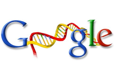 如何在不招致系統懲罰的情況下快速提高網站google排名