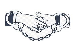 案值達6億元！深圳海關(guān)偵破跨境平臺走私案
