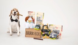 寵物電商Bark Box母公司收入在第三季度增長了78％
